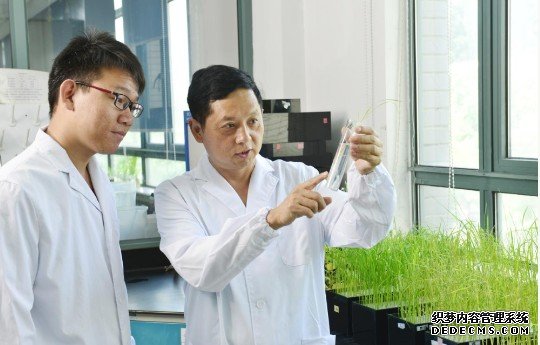 杏耀何梁何利基金科学与技术进步奖获得者罗利军:科技创新绘就“蓝色”农业图景