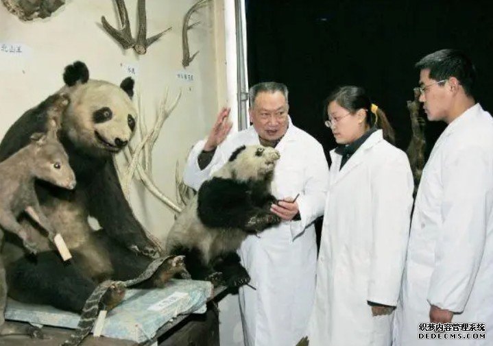 杏耀代理追忆大熊猫专家胡锦矗:竹林深处踏迹寻踪