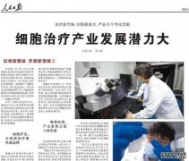 <b>杏耀代理细胞治疗产业发展潜力大</b>
