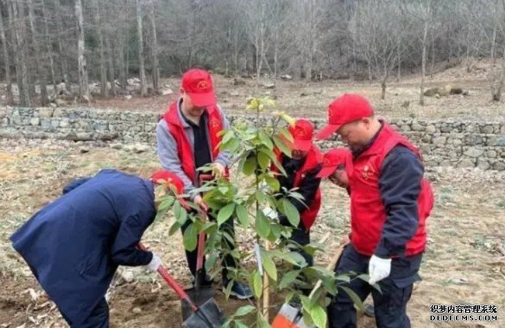 120株三峡库区杏耀平台珍稀植物“重返”原生地