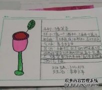 <b>杏耀植物发出的清晰声音首次记录</b>