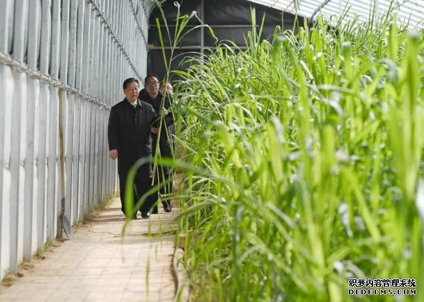 菌草科学与技术国家林草局重点实验室获批建立杏耀代理