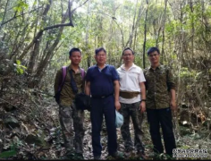 <b>成年植株数量不足百沐鸣注册开户 广东河源发现</b>