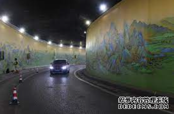 香港米埔水域发现箱型水母新物种,2号站登录数量多达数百只