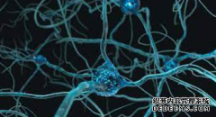 <b>更好模拟和理解人脑，2号站登录薄如原子的人工</b>