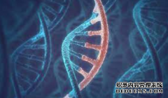 <b>2号站登录高清3D基因组相互作用图生成</b>