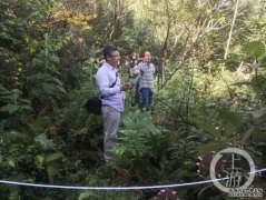 <b>重庆发现一全球新物种 生物多样性保护成效显著</b>