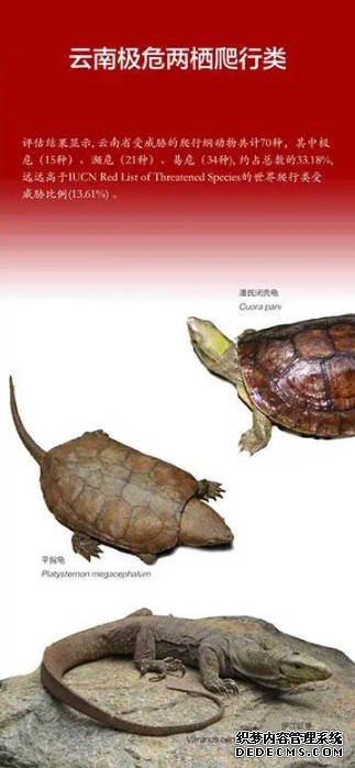 红色名录更新!近500种野生动植物受威胁等级下降沐鸣平台官网