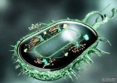 <b>沐鸣平台官网合成生物学：属于未来的“天工开</b>