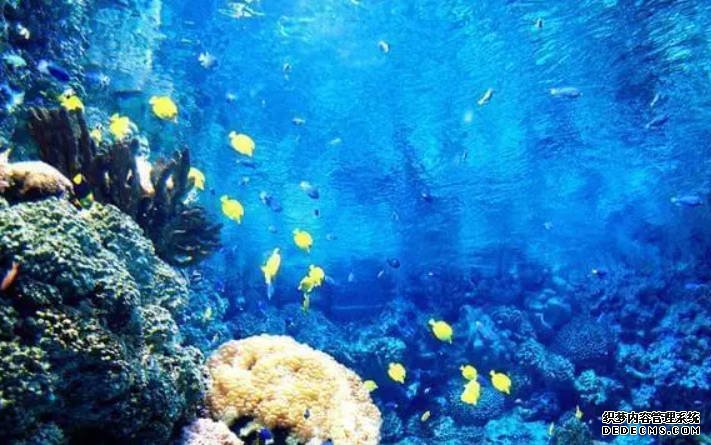 《自然》:沐鸣在线登录早期海洋为何能维持漫长的缺氧?