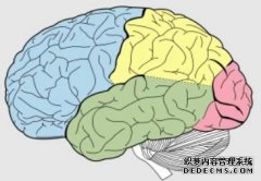 <b>沐鸣测速大脑中的机制帮助我们在人群中辨别言</b>