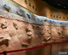 <b>欧亿中国科学家公布多项我国新生代化石研究世</b>