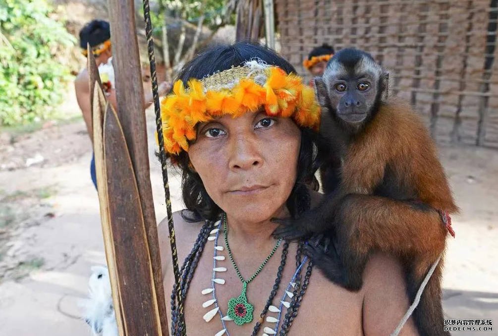 男人狩猎,沐鸣注册登录女人在家?错啦!