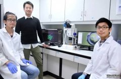 <b>沐鸣蛋白质分子首次实现“帧级”捕捉</b>