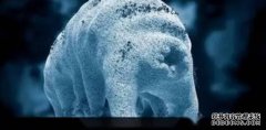 <b>冰冻超4万年的生物，被“复活”！科学家回应沐</b>