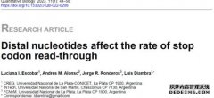<b>QB期刊 | 前沿研究：蓝狮代理末端核苷酸影响终止</b>