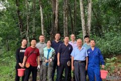 <b>给300多橡胶树重测序后，沐鸣他们终于发现产量</b>