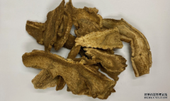 <b>兩婦服受茄科生物鹼污染中藥材「木香」後不適</b>